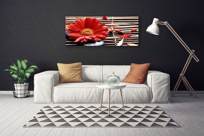 Quadro canvas Flor Planta Natureza