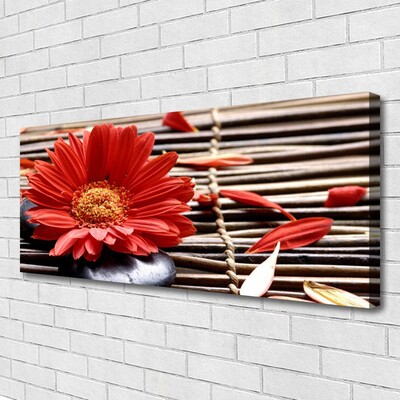 Quadro canvas Flor Planta Natureza
