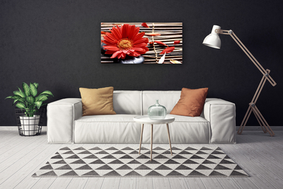 Quadro canvas Flor Planta Natureza