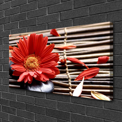 Quadro canvas Flor Planta Natureza