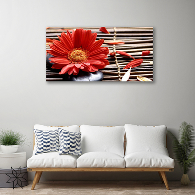 Quadro canvas Flor Planta Natureza