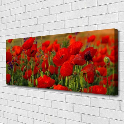 Quadro em tela Papoulas Plantam Natureza