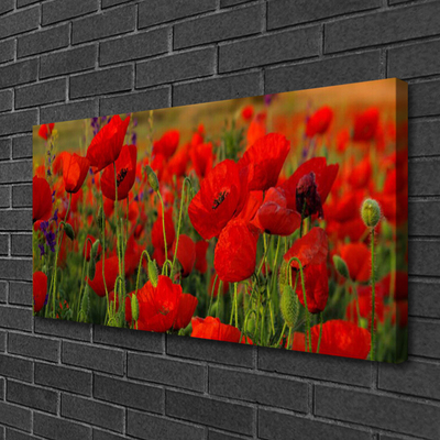 Quadro em tela Papoulas Plantam Natureza