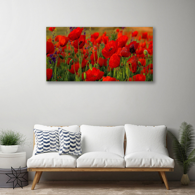 Quadro em tela Papoulas Plantam Natureza