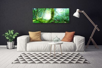 Quadro canvas Natureza do musgo da floresta