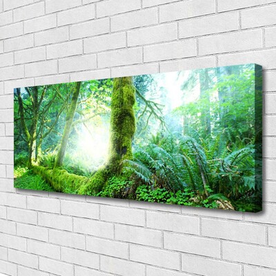 Quadro canvas Natureza do musgo da floresta
