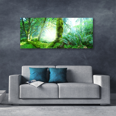 Quadro canvas Natureza do musgo da floresta
