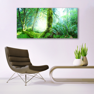 Quadro canvas Natureza do musgo da floresta