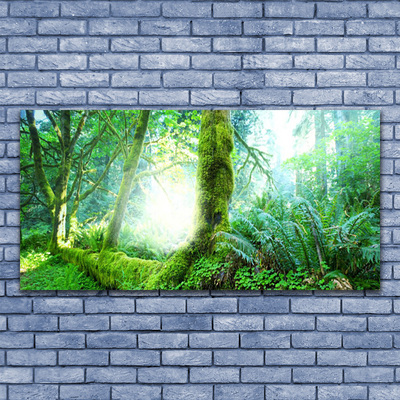 Quadro canvas Natureza do musgo da floresta