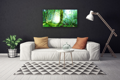 Quadro canvas Natureza do musgo da floresta