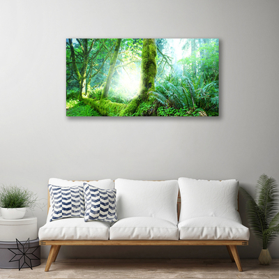Quadro canvas Natureza do musgo da floresta