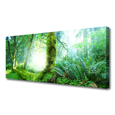 Quadro canvas Natureza do musgo da floresta