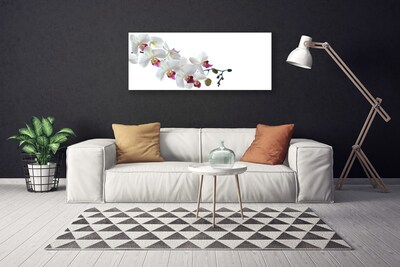 Quadro canvas Flores Planta Natureza