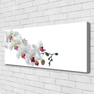 Quadro canvas Flores Planta Natureza