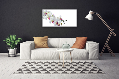 Quadro canvas Flores Planta Natureza