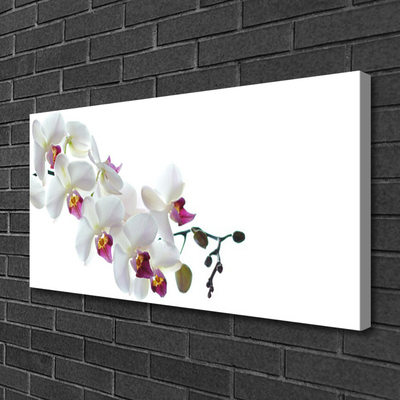 Quadro canvas Flores Planta Natureza