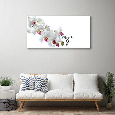 Quadro canvas Flores Planta Natureza