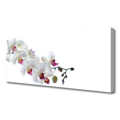 Quadro canvas Flores Planta Natureza
