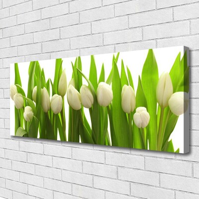 Quadro em tela Tulipas Flores Planta