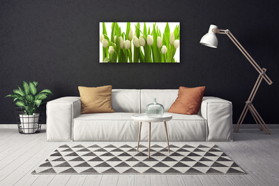 Quadro em tela Tulipas Flores Planta