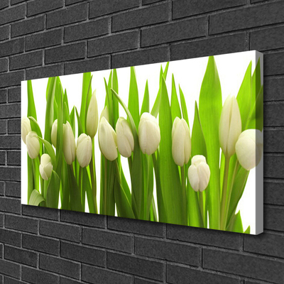 Quadro em tela Tulipas Flores Planta