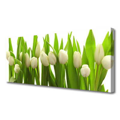 Quadro em tela Tulipas Flores Planta