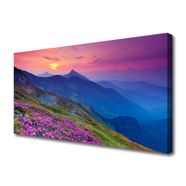 Quadro canvas Montanhas Prado Flores Paisagem