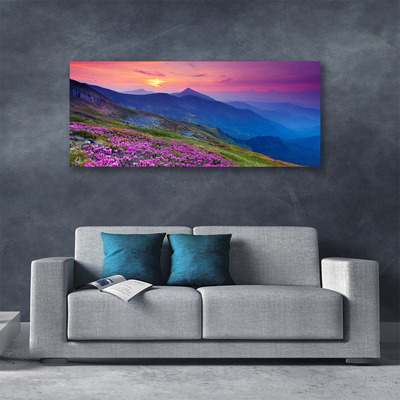 Quadro canvas Montanhas Prado Flores Paisagem