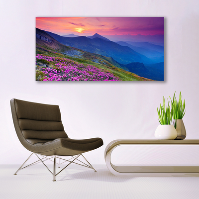 Quadro canvas Montanhas Prado Flores Paisagem