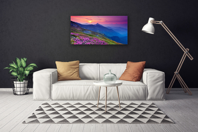 Quadro canvas Montanhas Prado Flores Paisagem