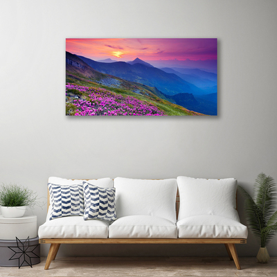 Quadro canvas Montanhas Prado Flores Paisagem