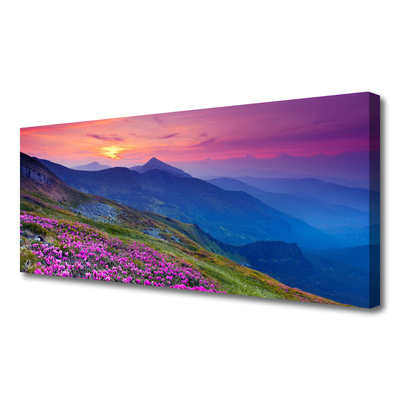 Quadro canvas Montanhas Prado Flores Paisagem