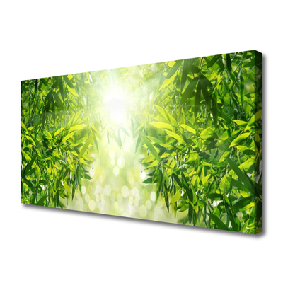 Quadro canvas Folhas Natureza Planta