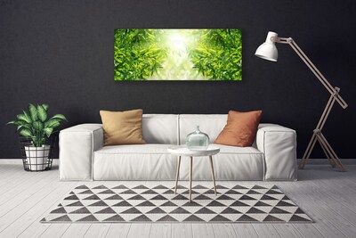 Quadro canvas Folhas Natureza Planta