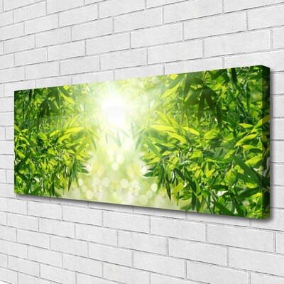 Quadro canvas Folhas Natureza Planta
