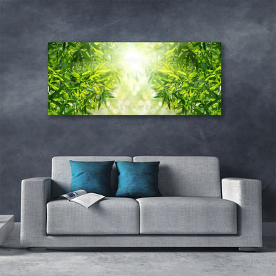 Quadro canvas Folhas Natureza Planta