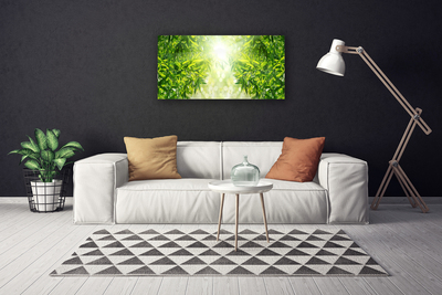 Quadro canvas Folhas Natureza Planta