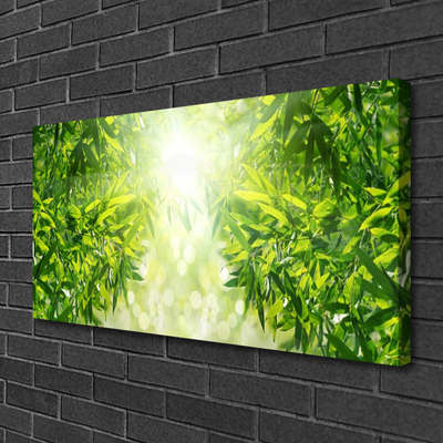 Quadro canvas Folhas Natureza Planta