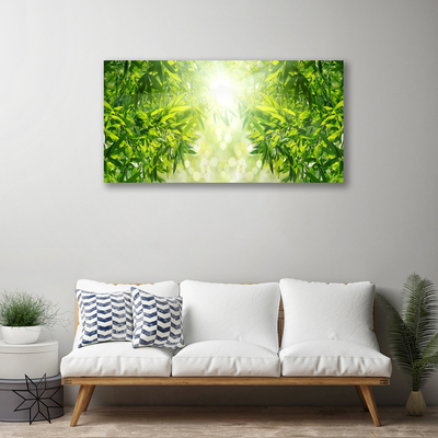 Quadro canvas Folhas Natureza Planta
