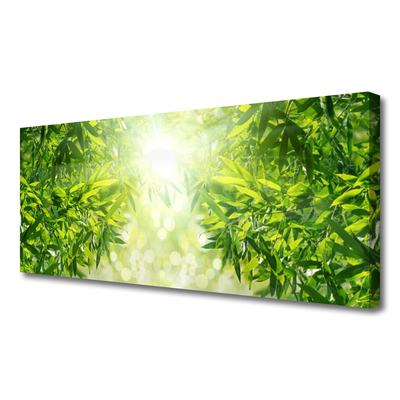 Quadro canvas Folhas Natureza Planta