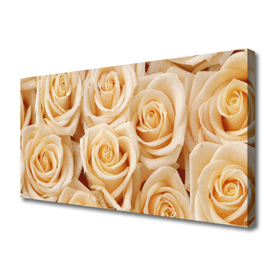 Quadro canvas Planta de flores rosas