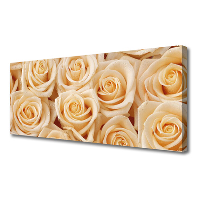 Quadro canvas Planta de flores rosas