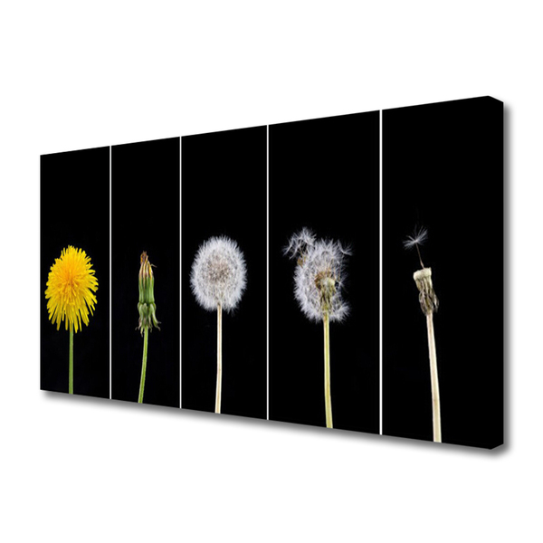 Quadro canvas Planta dente-de-leão