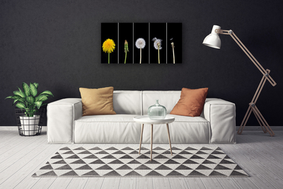 Quadro canvas Planta dente-de-leão