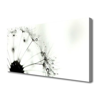 Quadro em tela Planta dente-de-leão