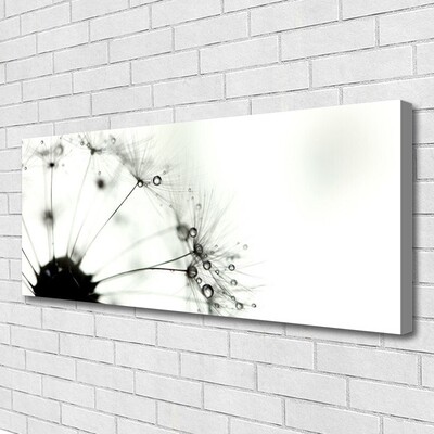 Quadro em tela Planta dente-de-leão