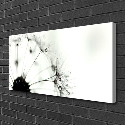 Quadro em tela Planta dente-de-leão