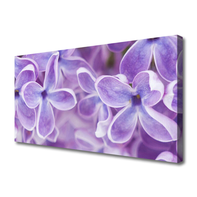 Quadro em tela Flores Planta Natureza