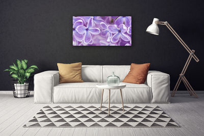 Quadro em tela Flores Planta Natureza