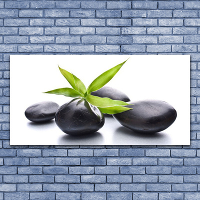 Quadro canvas Arte com Folhas e Pedras